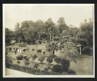 Three men, two in white, in a garden setting, "113" in right corner