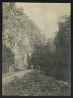 Views (2 photos) "on the Bolivian [railroad?]" (written on verso); one a view of a stream,  the other of a small bridge