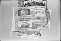 Natural History Museum