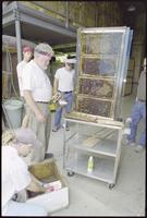 Natural History Museum