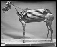 Comanche restoration