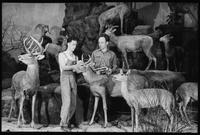 Restoration work