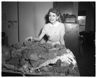 Examining fossils