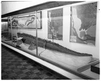 Exhibit