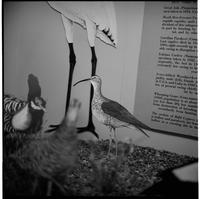 Exhibit