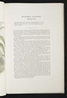 Monograph of the Pittidae, 1:10