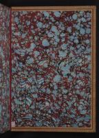 Monograph of the Paradiseidae, 1:200