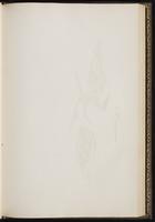 Birds of Europe, 1:274