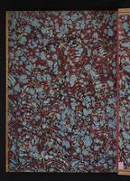 Monograph of the Paradiseidae, 1:199