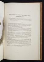 Monograph of the Paradiseidae, 1:194