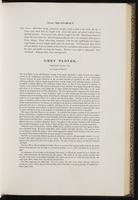 Birds of Europe, 1:200