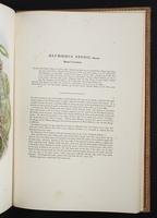 Monograph of the Paradiseidae, 1:190