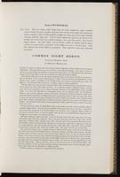 Birds of Europe, 1:156