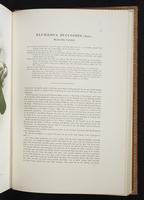 Monograph of the Paradiseidae, 1:182