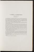 Birds of Europe, 1:88