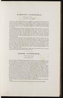 Birds of Europe, 1:84