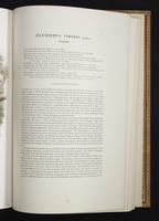 Monograph of the Paradiseidae, 1:178