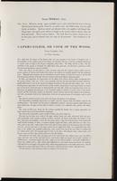 Birds of Europe, 1:32