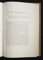 Monograph of the Paradiseidae, 1:170