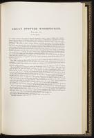 Birds of Europe, 1:328