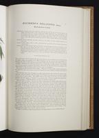Monograph of the Paradiseidae, 1:160
