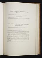Monograph of the Paradiseidae, 1:156