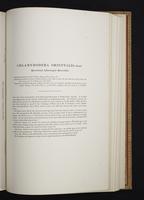 Monograph of the Paradiseidae, 1:154