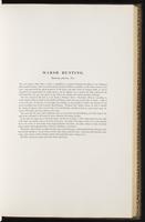 Birds of Europe, 1:140