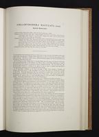 Monograph of the Paradiseidae, 1:138