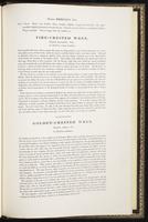 Birds of Europe, 1:400