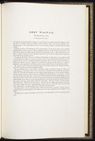 Birds of Europe, 1:396