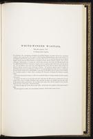 Birds of Europe, 1:376