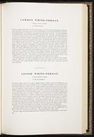 Birds of Europe, 1:308