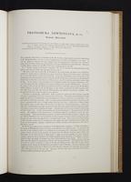 Monograph of the Paradiseidae, 1:118