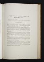 Monograph of the Paradiseidae, 1:114