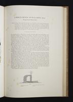 Monograph of the Paradiseidae, 1:110