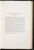 Birds of Europe, 1:176