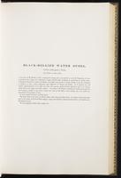 Birds of Europe, 1:144