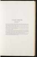 Birds of Europe, 1:128