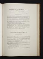 Monograph of the Paradiseidae, 1:102