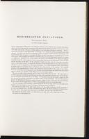 Birds of Europe, 1:64