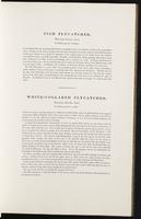 Birds of Europe, 1:60