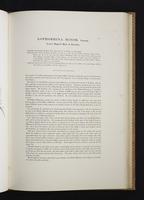 Monograph of the Paradiseidae, 1:84