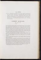 Birds of Europe, 1:80