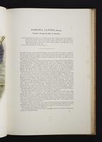 Monograph of the Paradiseidae, 1:70