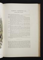 Monograph of the Paradiseidae, 1:64