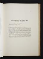 Monograph of the Paradiseidae, 1:60