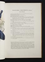 Monograph of the Paradiseidae, 1:30