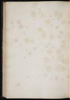 Birds of Europe, 1:171