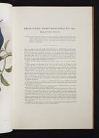 Monograph of the Paradiseidae, 1:20